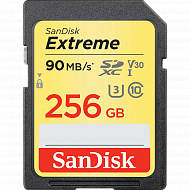 Карта памяти SanDisk Video B класс 10 32G Extreme